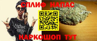 индика Анжеро-Судженск