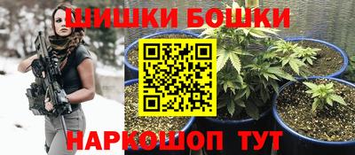 индика Анжеро-Судженск