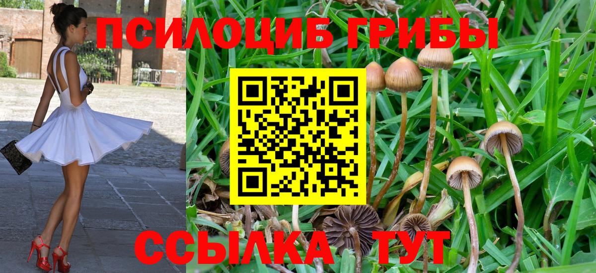 Галлюциногенные грибы мухоморы  Галлюциногенные грибы Magic Shrooms  Краснодар  Вход с VPN 